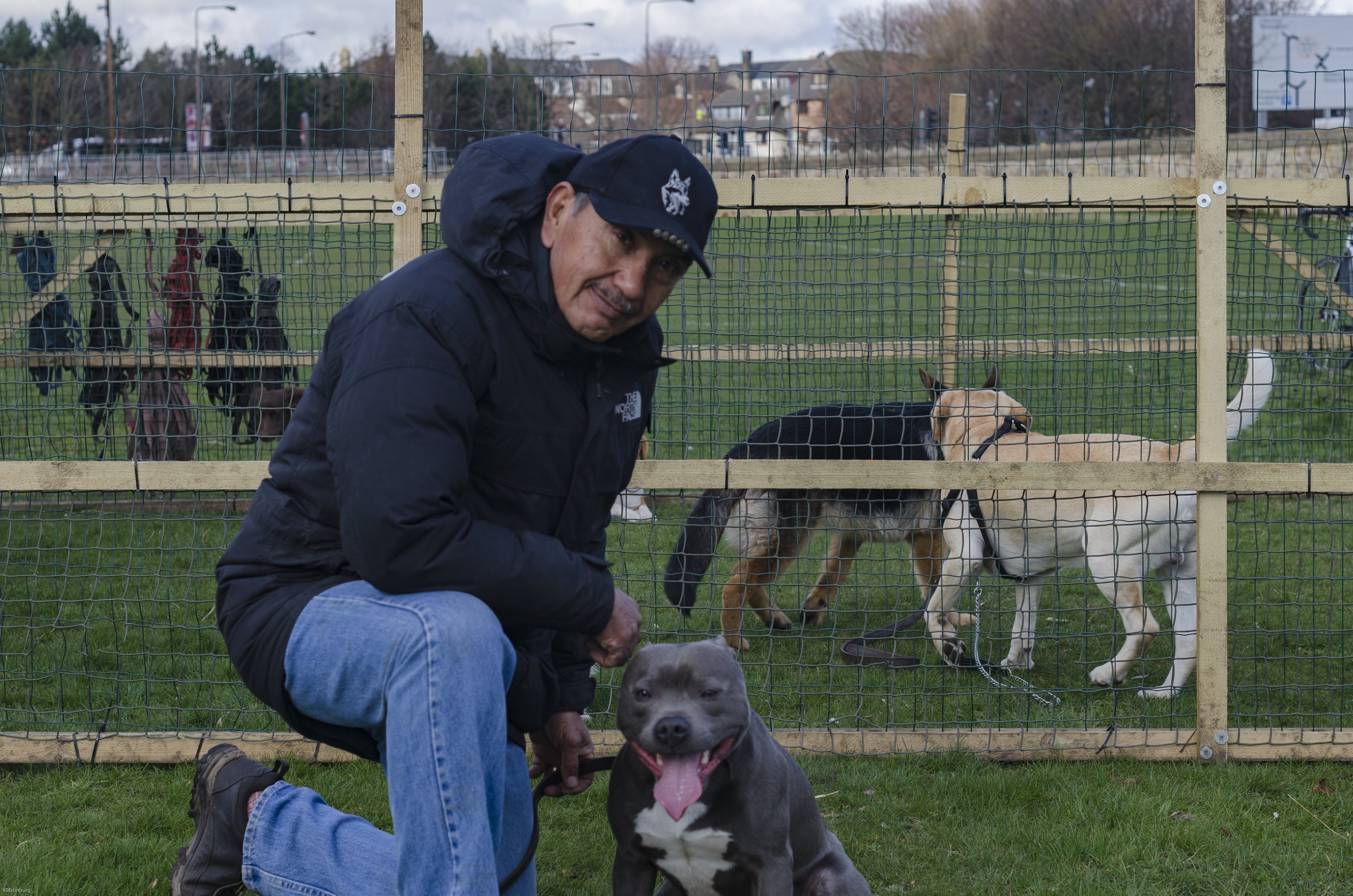 K9 Edinburgh Obedience