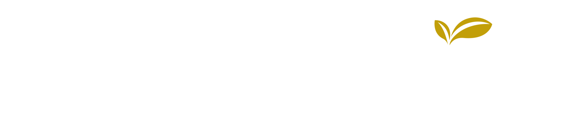 Senior Living In Winder, Ga