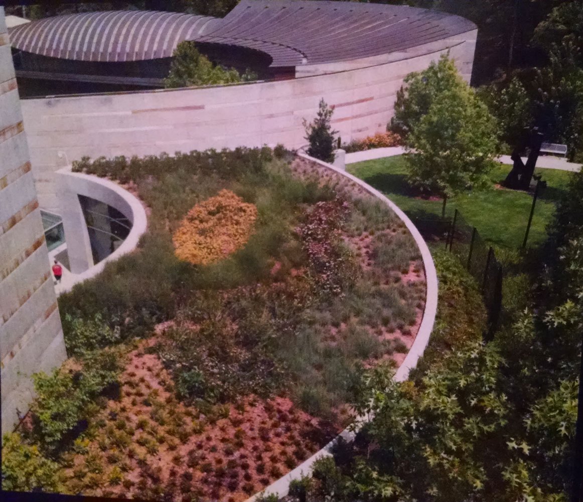 Arkansas Landscaping Ideas & Gallery | Frank Sharums Arkansas Landscaping Ideas Gallery Frank Sharums
