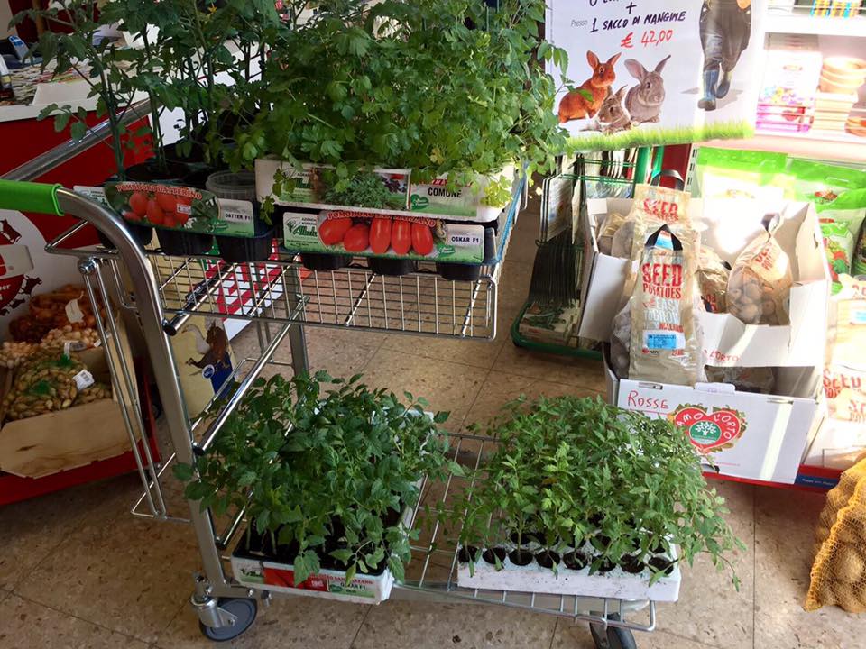 Vendita di piante AP F.lli De Cesare