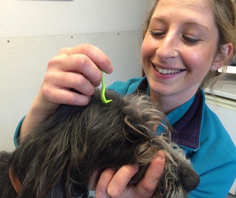 Animal Health Centre Experienced vets based in Bristol