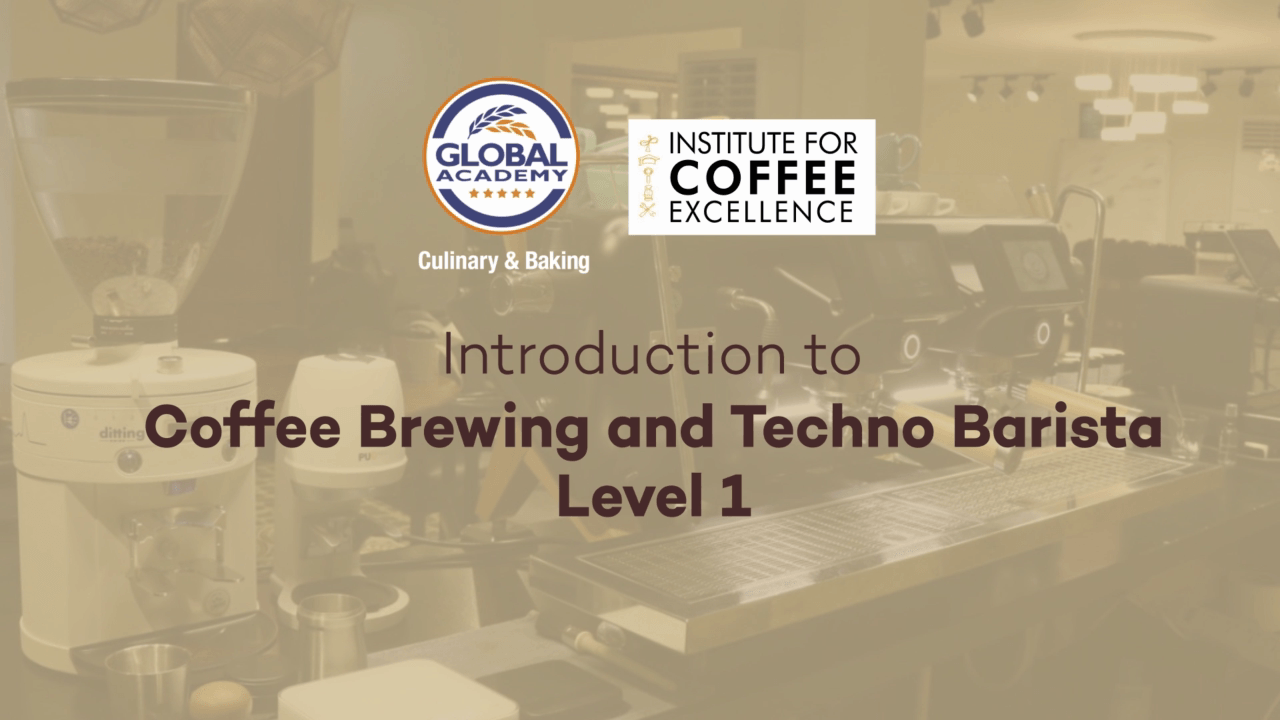 Introduction to Coffee Brewing and Techno Barista Level 1 Coffee Program