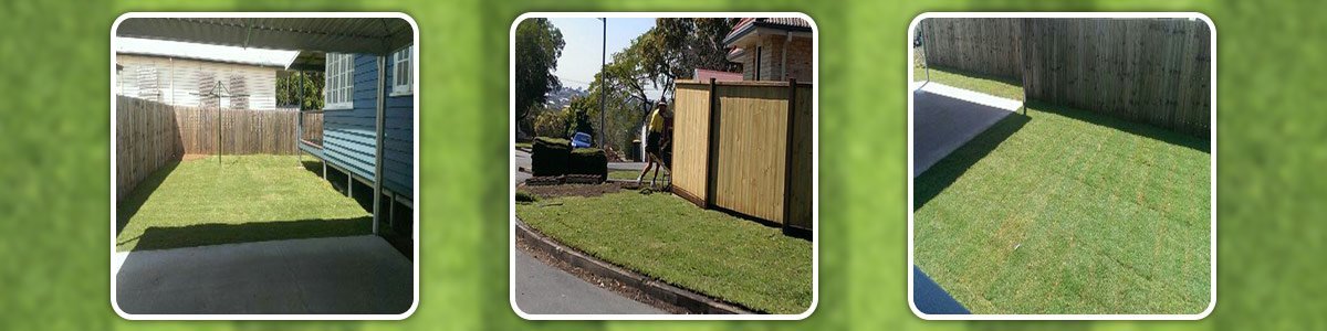 greenfield turf on home