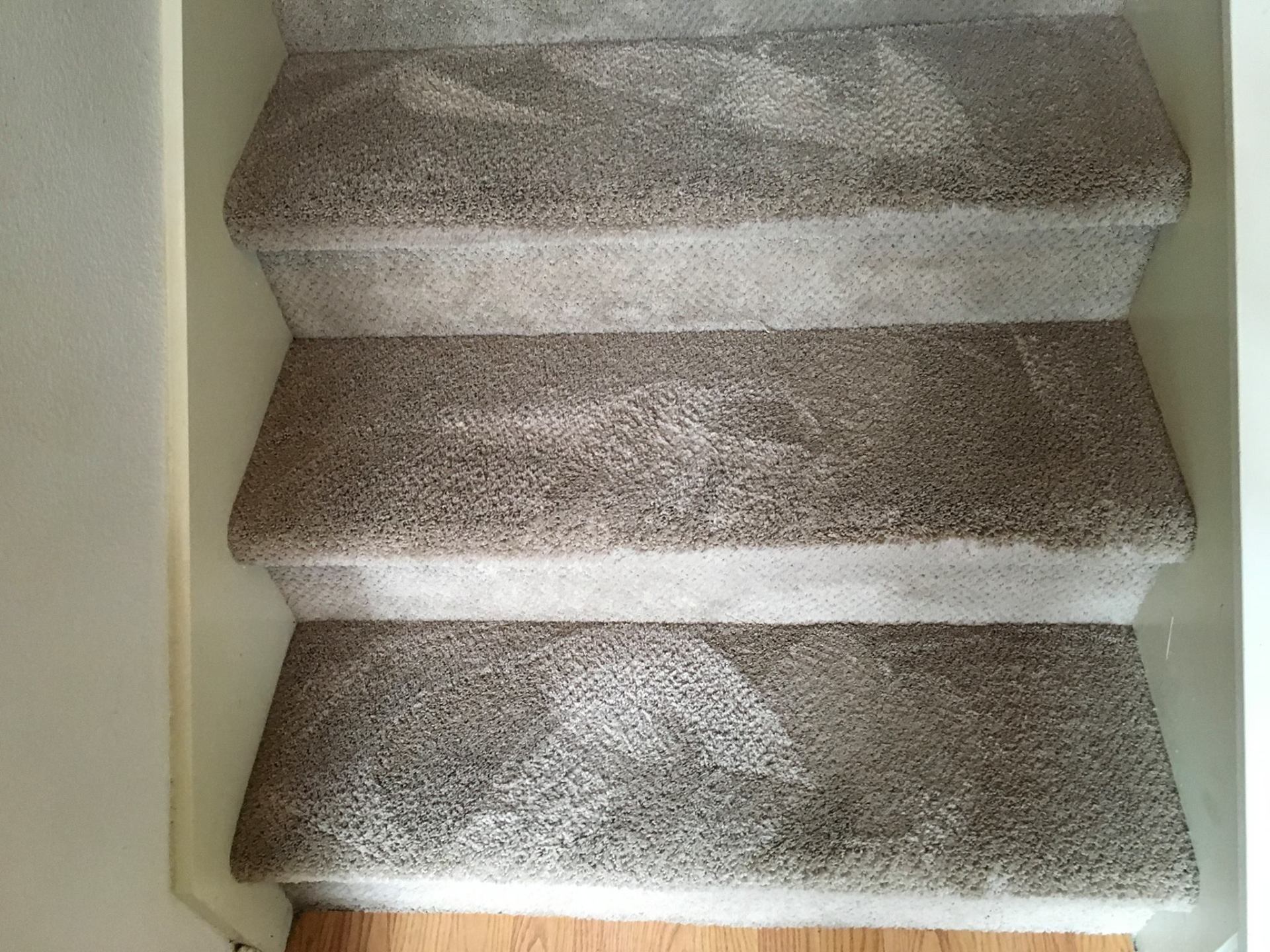 Home Carpets Angwin, CA Quality Carpet Cleaning