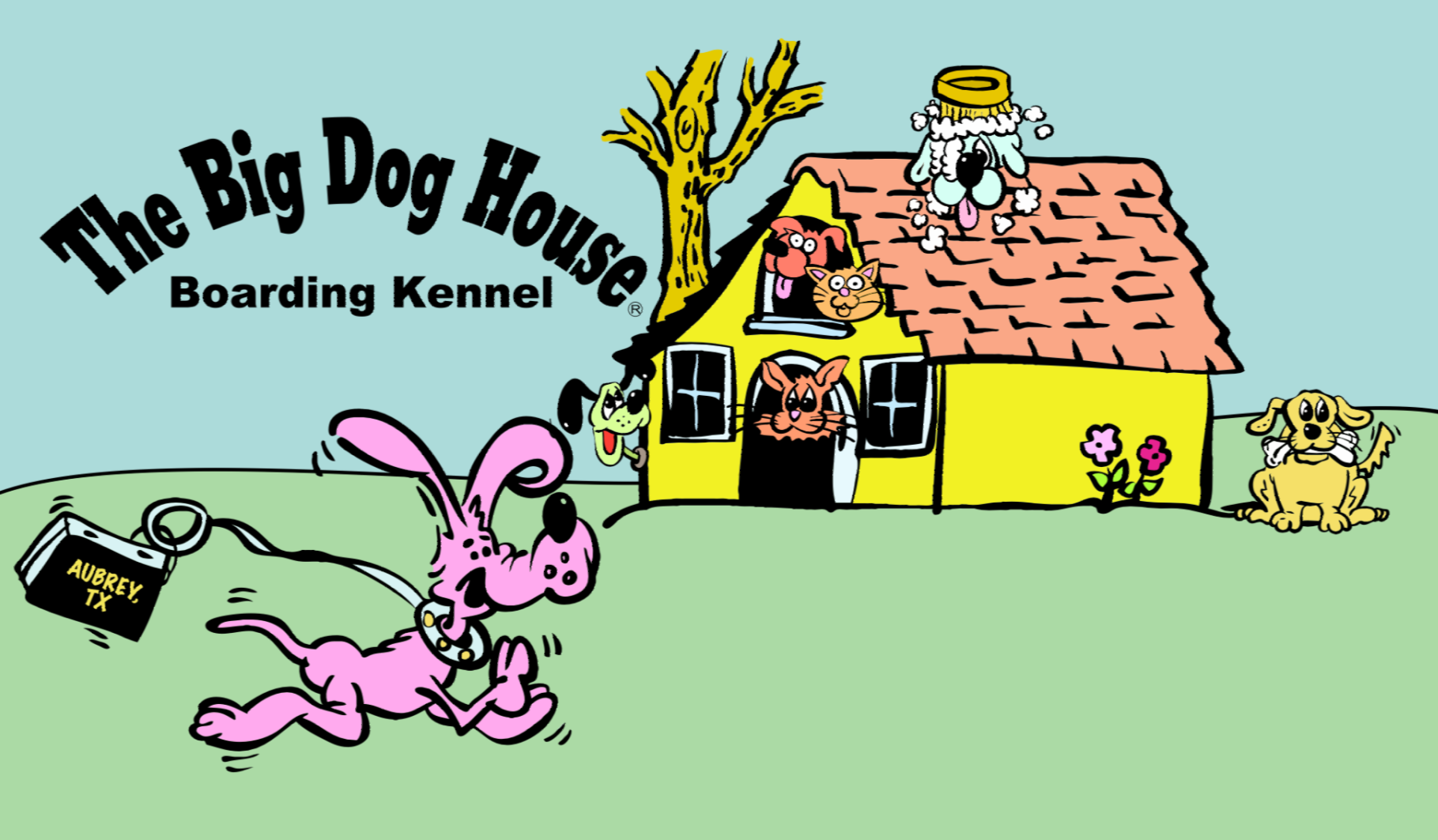The Big Dog House Boarding Kennel Aubrey, TX