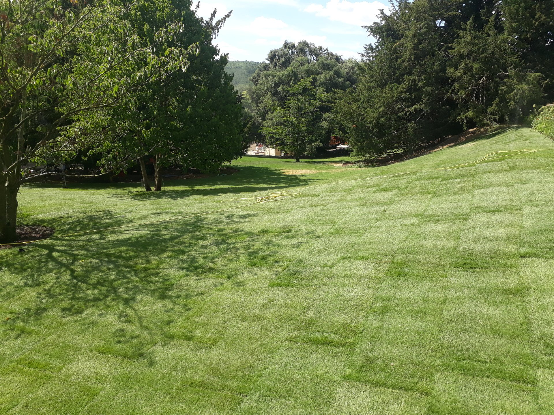 Buckley Turf Contractors Lawn Turf Supplies