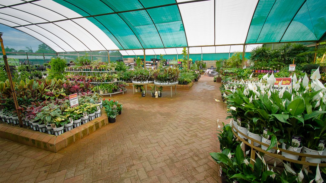 Garden Nursery & Shop in Redlands, QLD Timbara Garden Centre