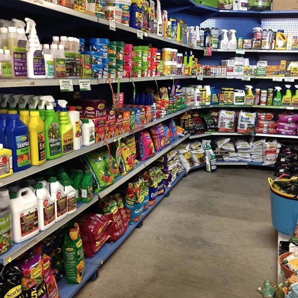 Weed Control, Redlands, QLD