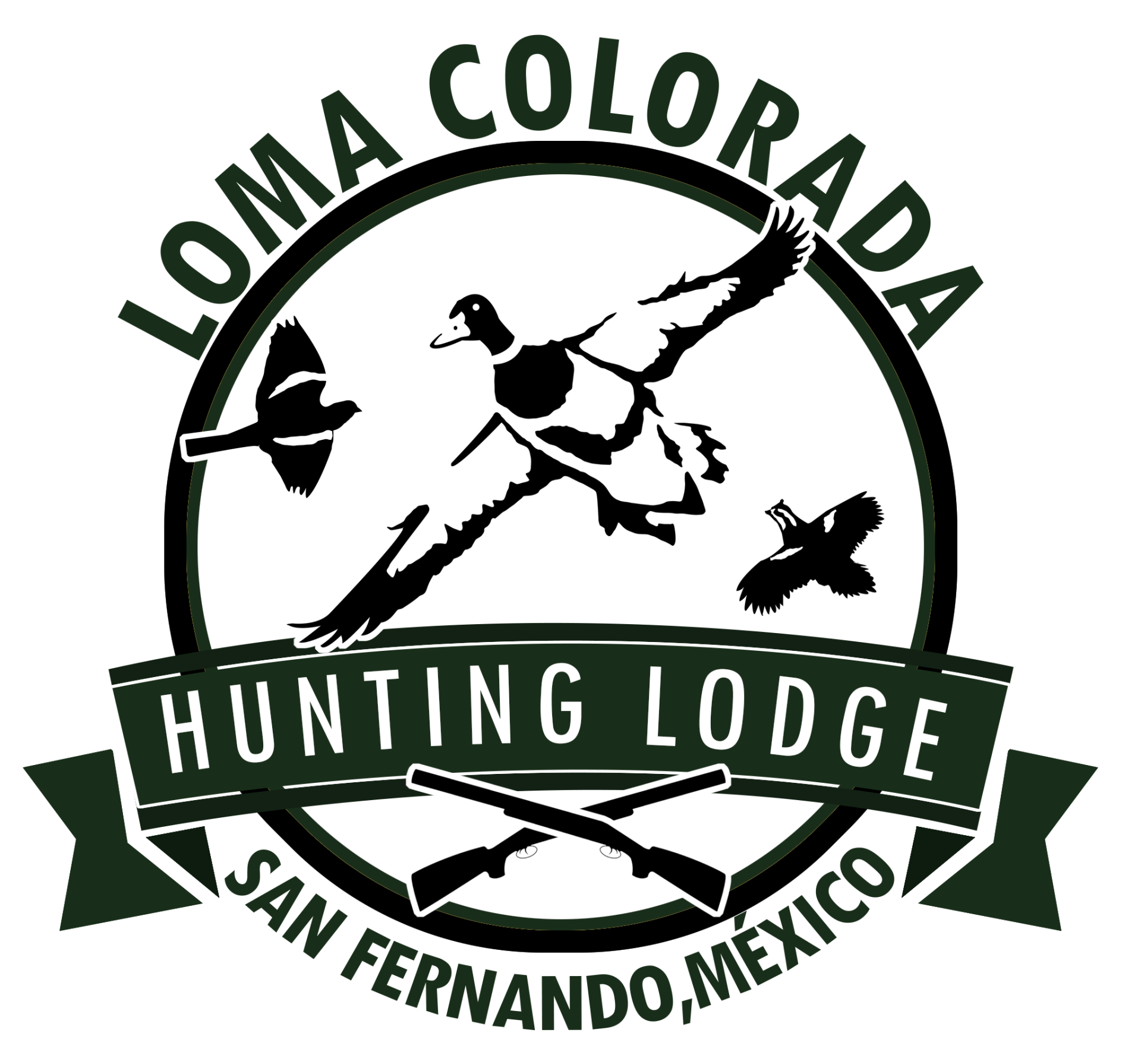 Mexico Dove Hunting Outfitter & Guided Hunts | Loma Colorada