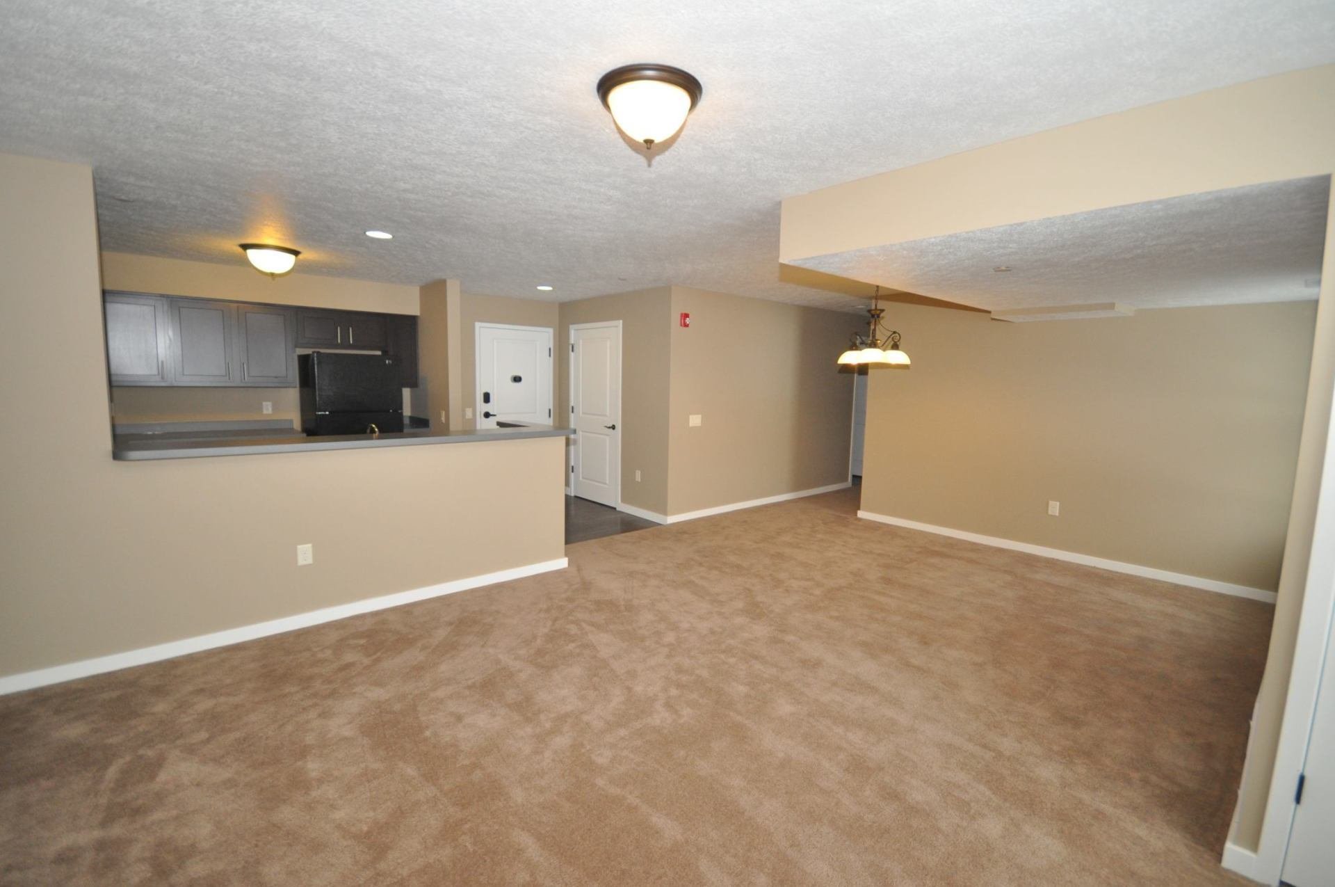 Testa Companies Anna Dean