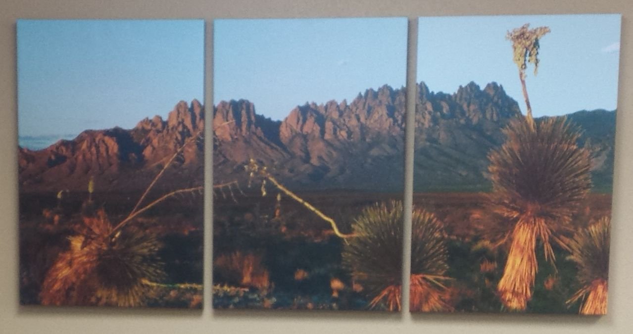 Custom Framing Picture Frame Outlet and Gallery