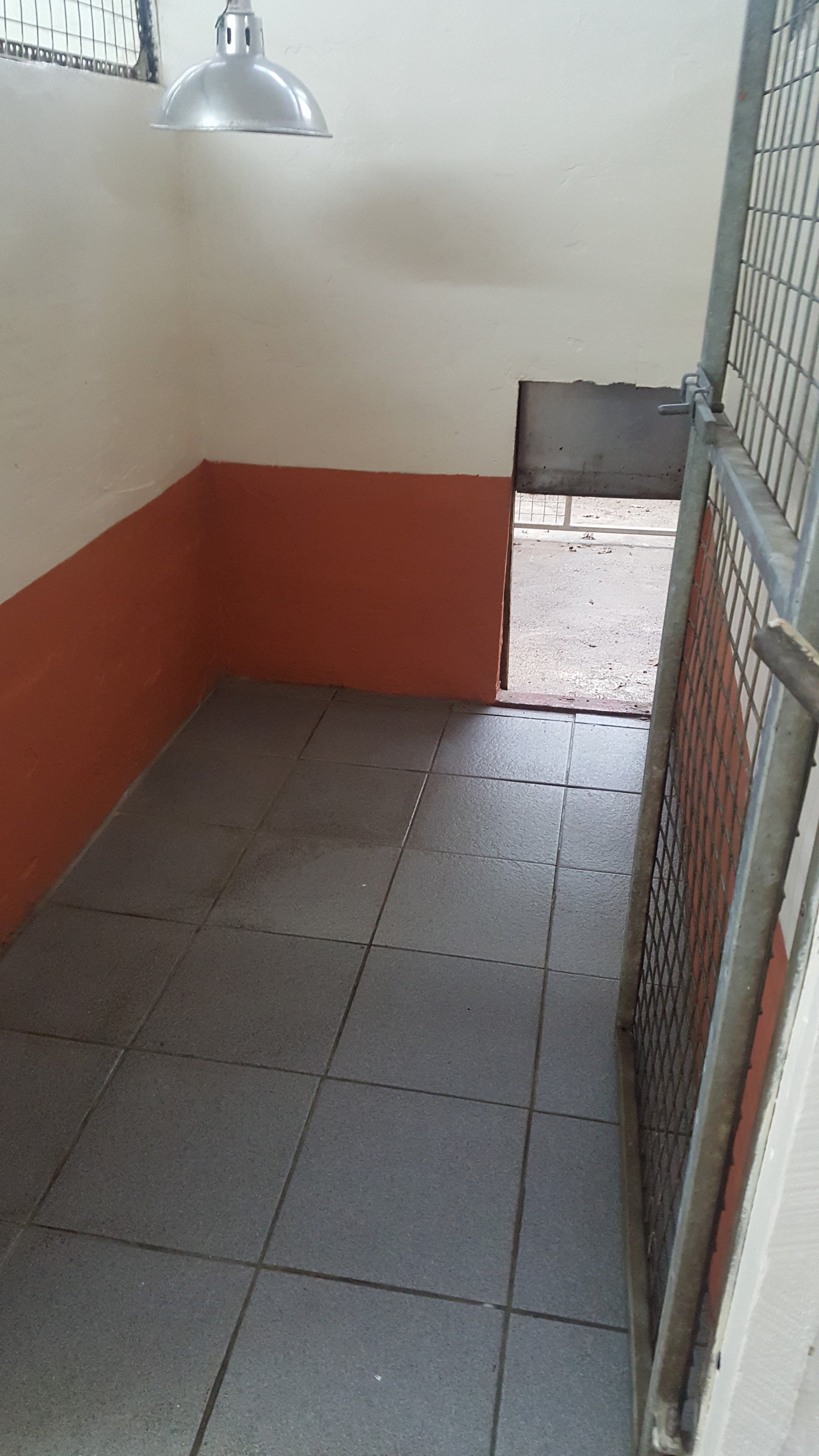 Gallery South Wales Springfield Boarding Kennels