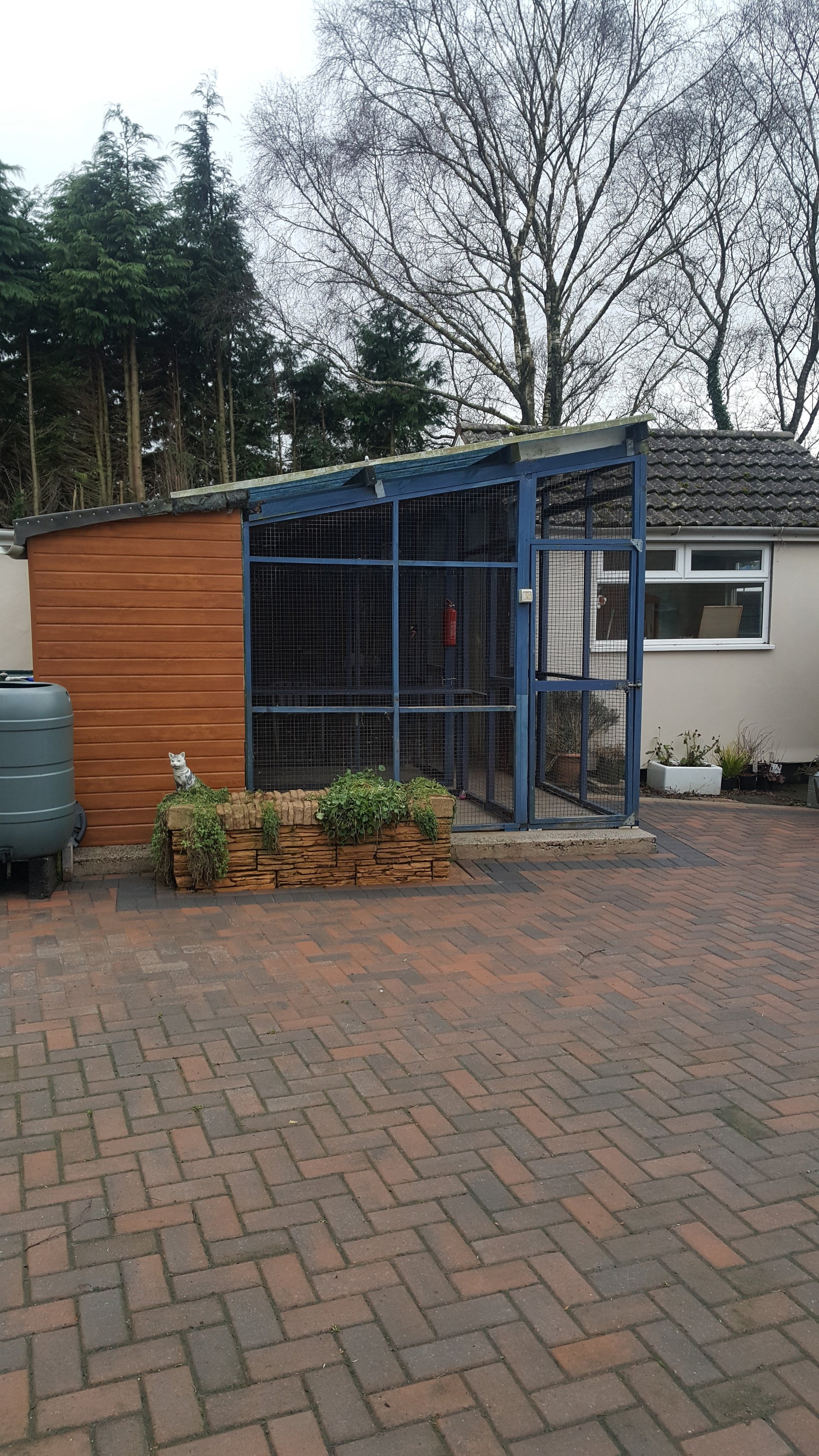 Gallery South Wales Springfield Boarding Kennels