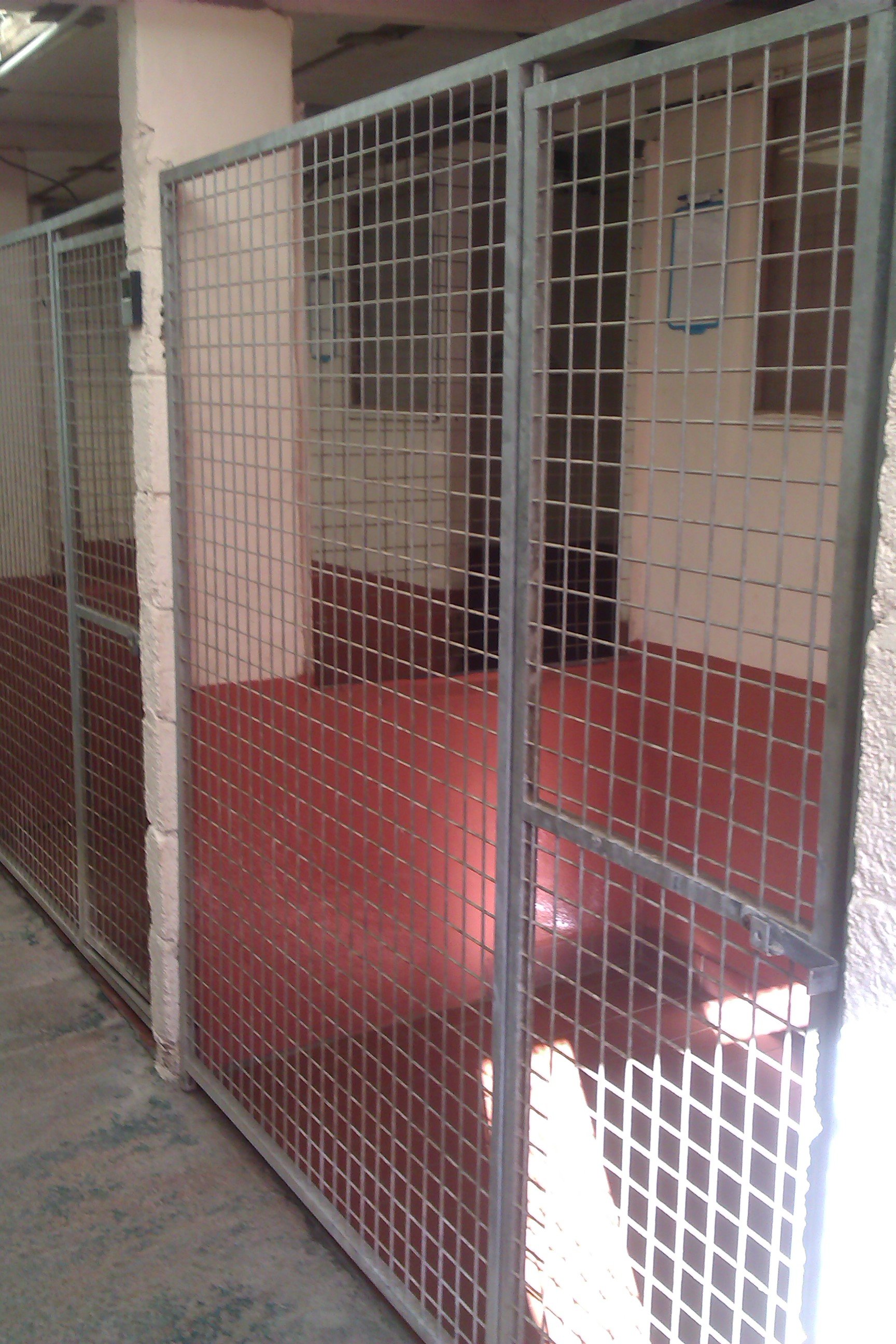 Gallery South Wales Springfield Boarding Kennels