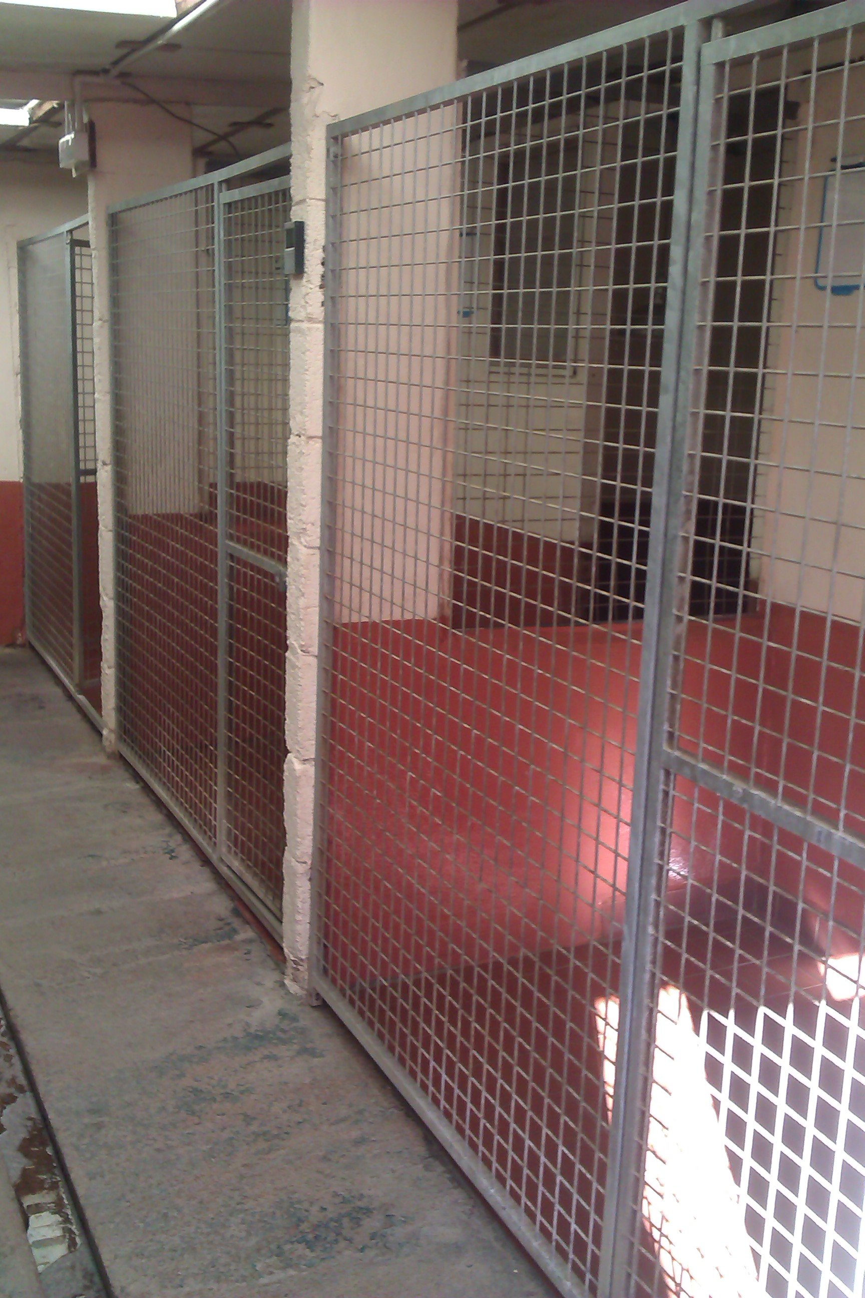 Gallery South Wales Springfield Boarding Kennels