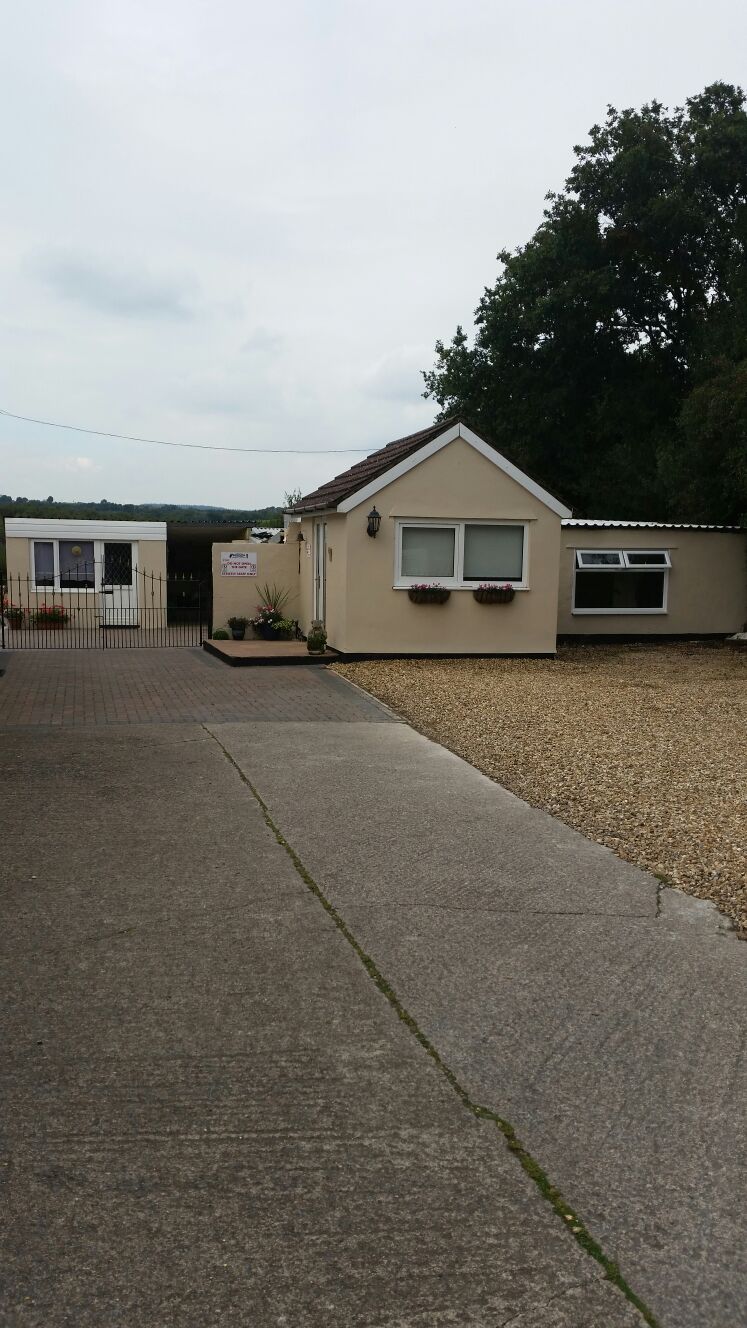 Pet Kennel & Cattery South Wales Springfield Boarding Kennels