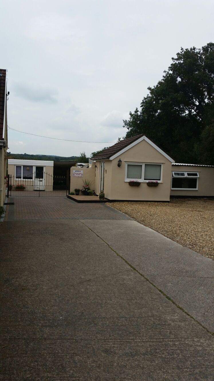 Gallery South Wales Springfield Boarding Kennels