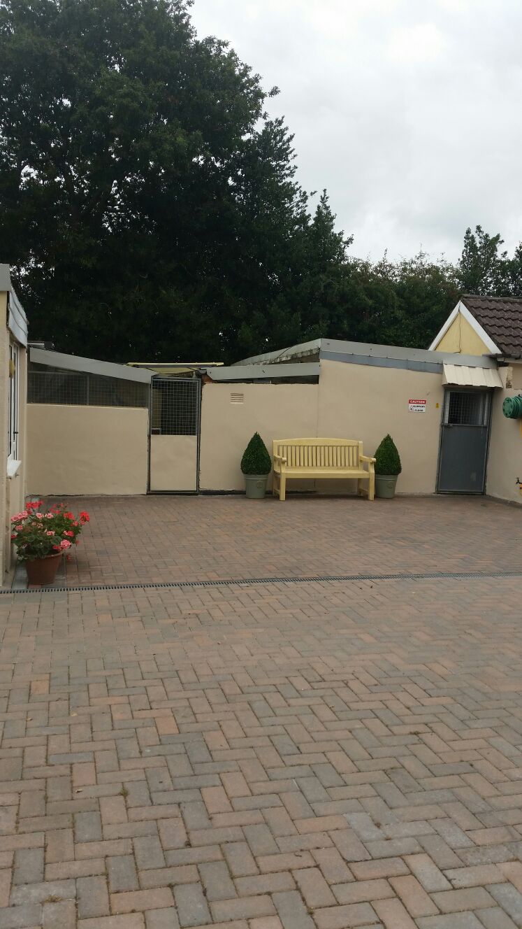 Gallery South Wales Springfield Boarding Kennels