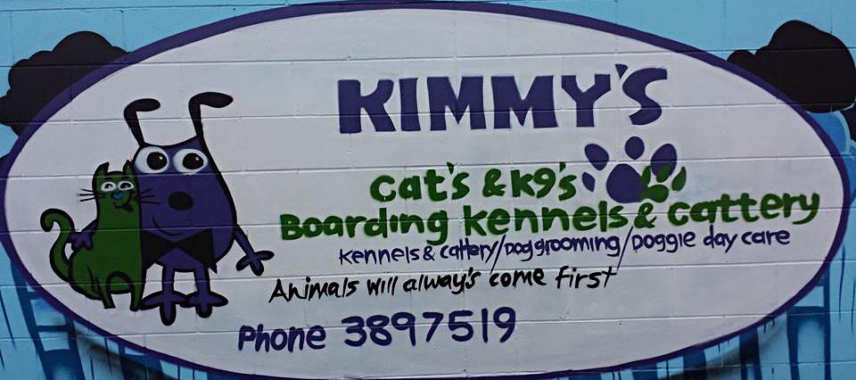 Kimmy's boarding at Christchurch 