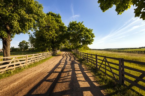 Wooden fence which is fencing off  field.