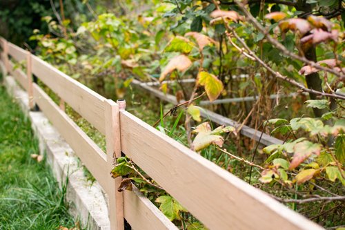 Wooden fence with green lawn and trees