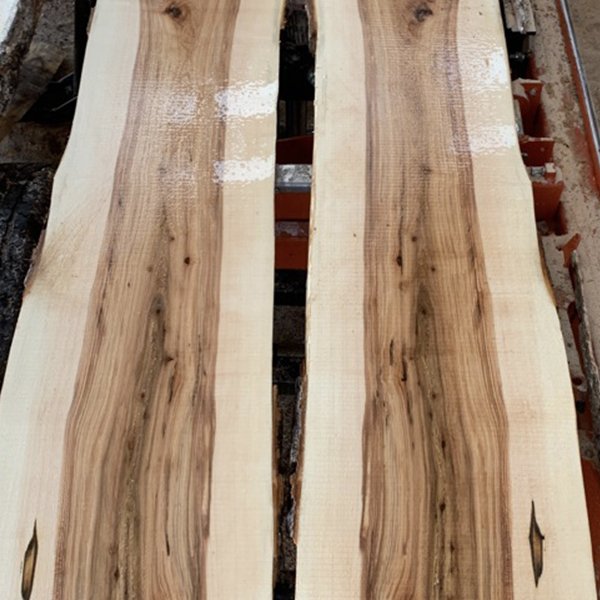 Wood Slabs Mandan, ND Live Edge 701 Sawmill