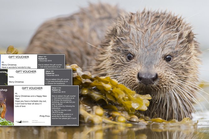 Wildlife photography workshop gift vouchers