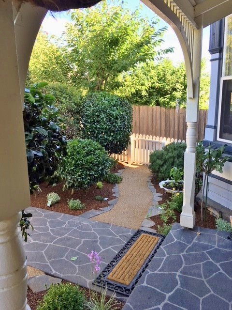 view of a pathway all around the garden