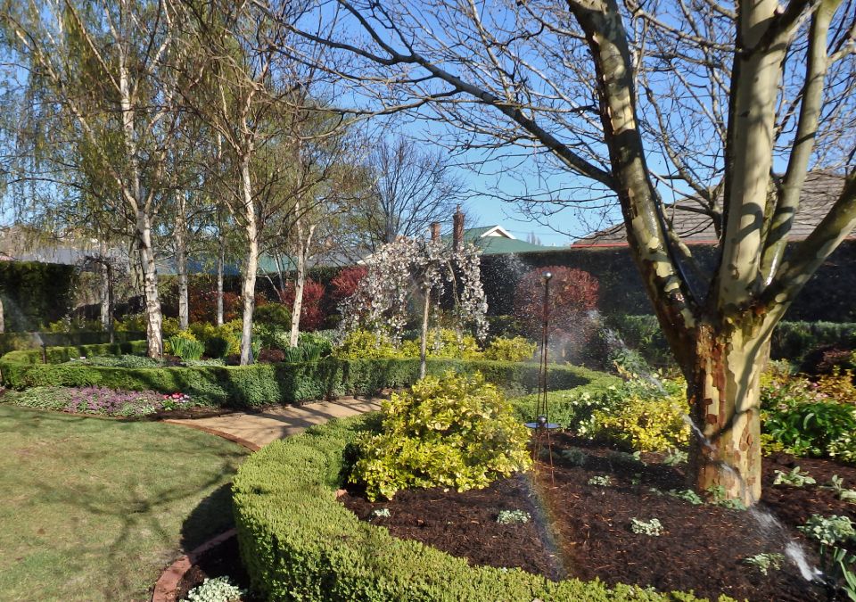 View of a garden after landscaping