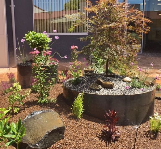 View of a garden after landscaping