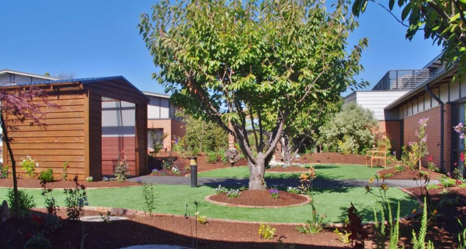 View of a residential garden with tree in the middle