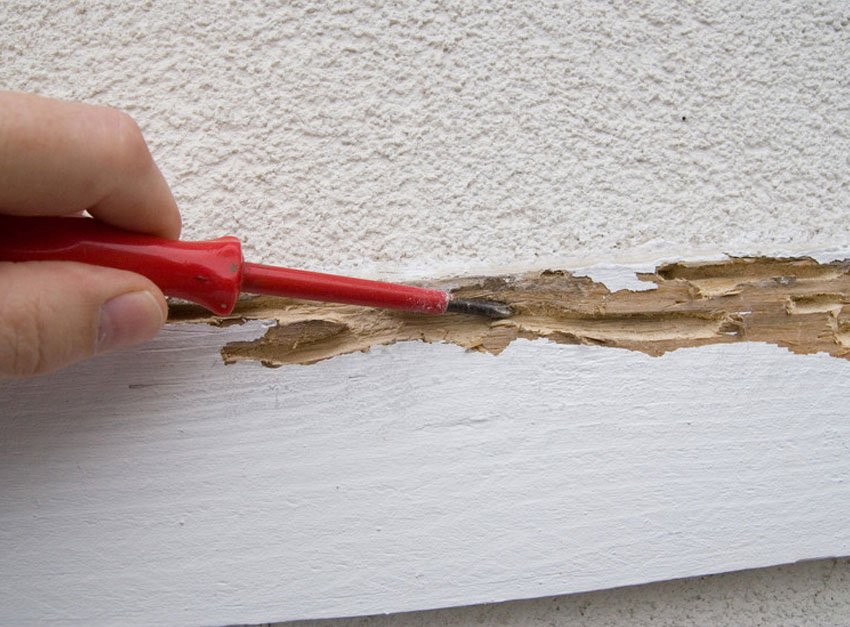 Woodworm control D Moore Damp Proofing & Builders