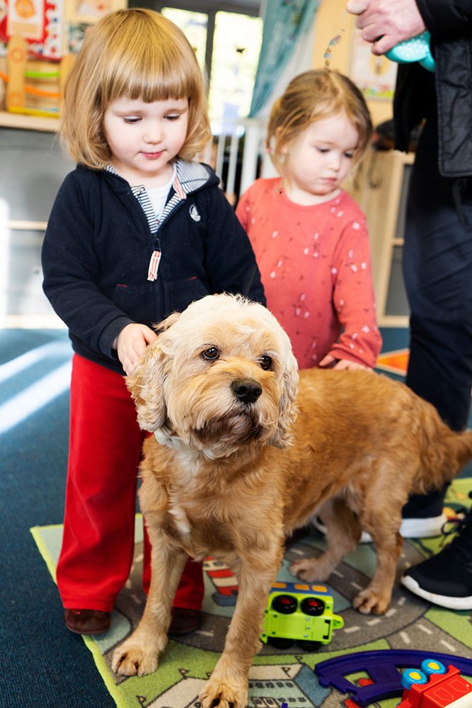 Hummingbird Preschool Norfolk, Wymondham