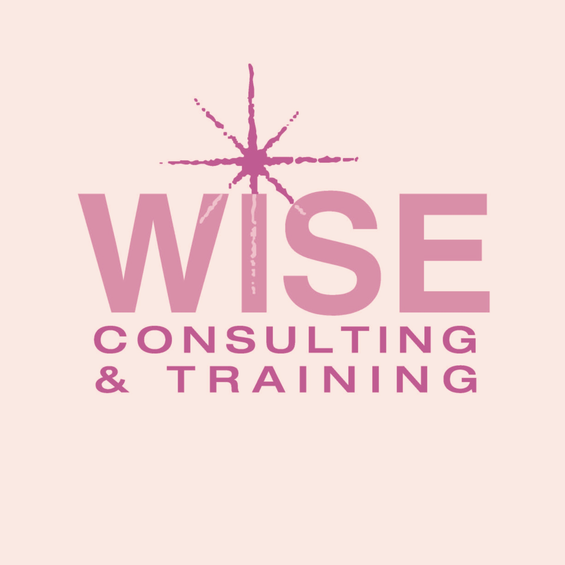About Reno, NV Wise Consulting & Training, Inc