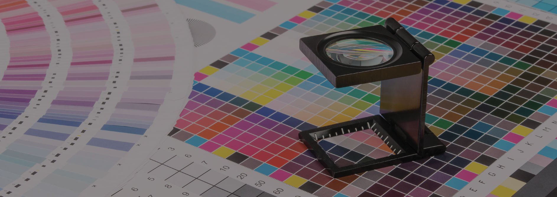 Speedprint Digital Printing Dunedin