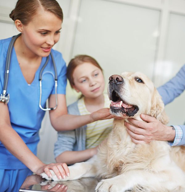 Pet Owners Pine Grove Veterinary Hospital