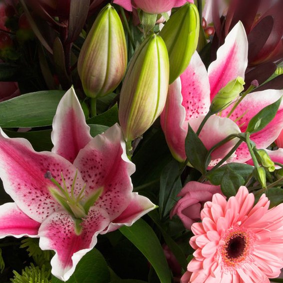 Are you looking for professional florists in Welshpool? Poppy's