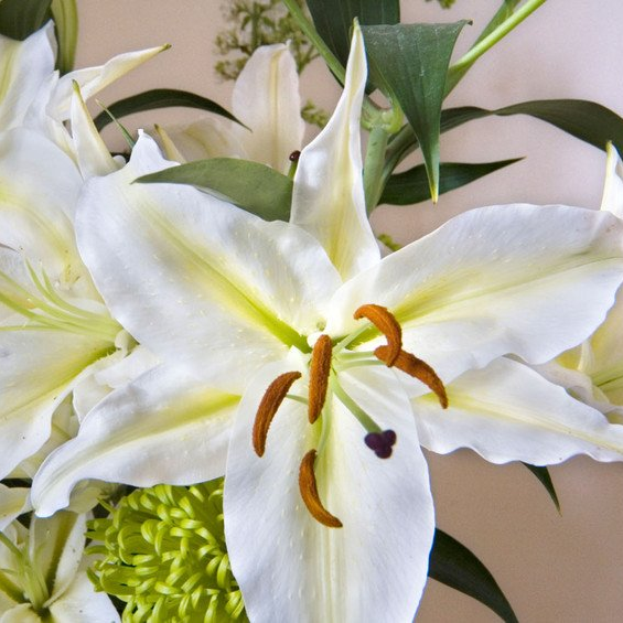 Are you looking for sympathy flowers in Welshpool? Poppy's