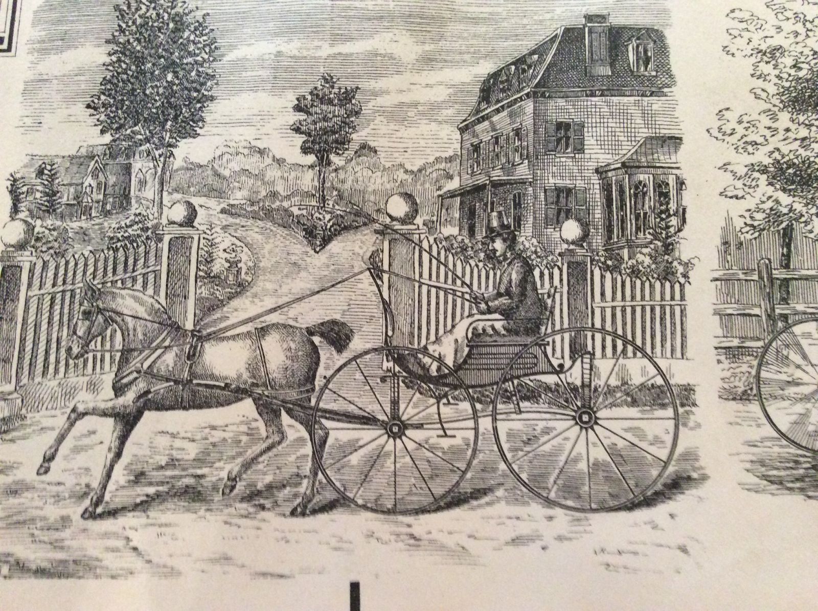 Horse and Carriages American Transportation in the 1800s