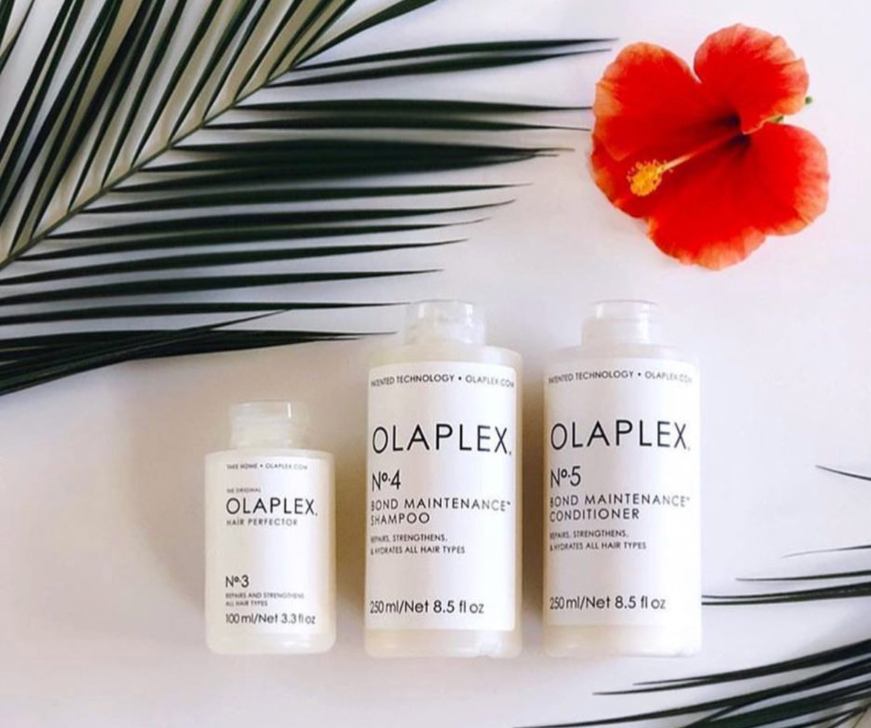 Transform Your Hair with Olaplex Corkin & Friends