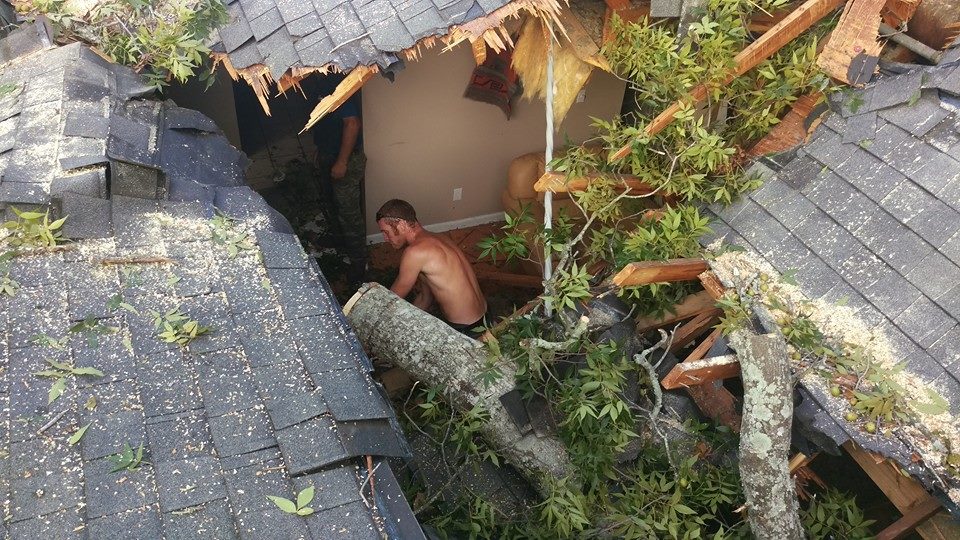 Emergency Tree Removal Jacksonville, FL Shaw�s Tree