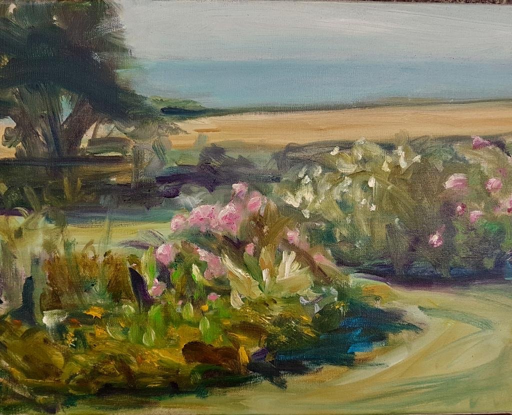 land/coastscapes