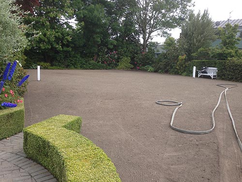 View of the open garden space 