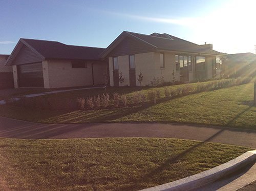View of the front lawn of the house