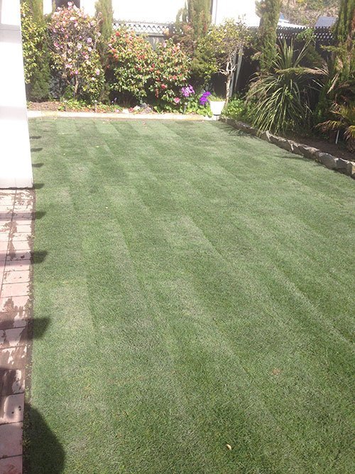 View of garden landscaping work done by expert 