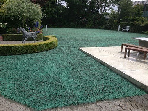 View of the hydro seeding procedure done by expert in the lawn