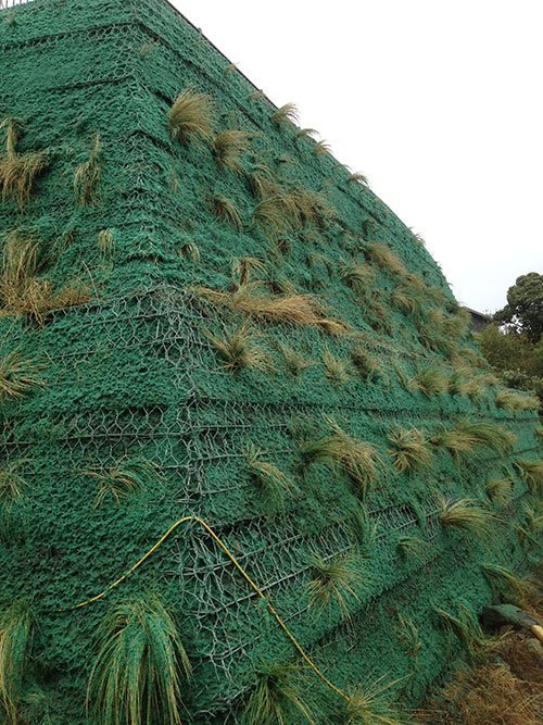 View of the hydro seeding procedure