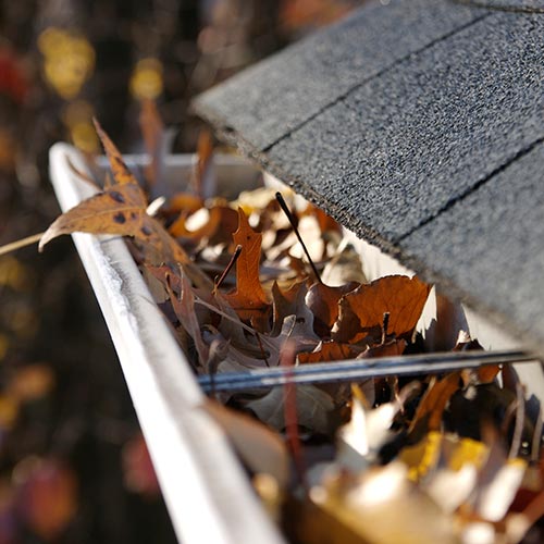 Home Richmond, VA American Gutter Services