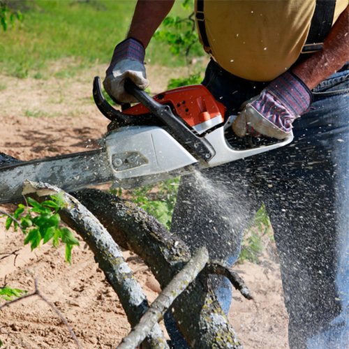 Tree Services Flint, MI TLC Tree & Stump Removal LLC