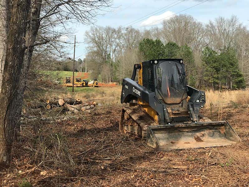 Brush Clearing &amp; Mosquito Eradication